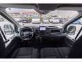 Ford Transit 350 2.0TDCi EcoBlue MHEV 170CV PL-TM Furgone Trend Grigio - thumbnail 8