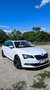 Skoda Superb Combi 2.0 TDI 4x4 DSG L&K - thumbnail 8