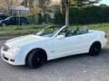 Mercedes-Benz CLK 350 CLK 350 (209.456) Weiß - thumbnail 10