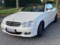 Mercedes-Benz CLK 350 CLK 350 (209.456) Weiß - thumbnail 7