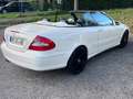 Mercedes-Benz CLK 350 CLK 350 (209.456) Weiß - thumbnail 12