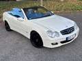 Mercedes-Benz CLK 350 CLK 350 (209.456) Weiß - thumbnail 3