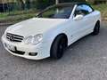 Mercedes-Benz CLK 350 CLK 350 (209.456) Weiß - thumbnail 19