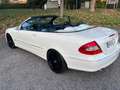 Mercedes-Benz CLK 350 CLK 350 (209.456) Weiß - thumbnail 11