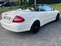 Mercedes-Benz CLK 350 CLK 350 (209.456) Weiß - thumbnail 20