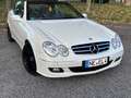 Mercedes-Benz CLK 350 CLK 350 (209.456) Weiß - thumbnail 8