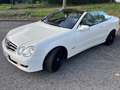 Mercedes-Benz CLK 350 CLK 350 (209.456) Weiß - thumbnail 5