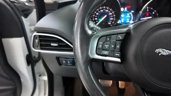 Jaguar F-Pace 2019, foto 25