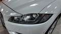Jaguar F-Pace 2.0i4D R-Sport Aut. RWD 180 Blanco - thumbnail 10