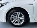 Toyota Corolla 1.8 125H ACTIVE TECH ECVT Blanco - thumbnail 19