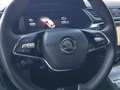 Skoda Superb Superb Wagon 2.0 tdi evo Executive 150cv dsg Grijs - thumbnail 22