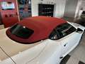 Lexus LC 500 Cabriolet Hokkaido Edition 36/80 +HUD+Nav Weiß - thumbnail 20