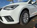 SEAT Ibiza 1.0 ROAD EDITION DSG NAV PANO VOLL-LED RFK Blanc - thumbnail 12