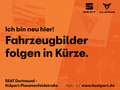 SEAT Ibiza 1.0 ROAD EDITION DSG NAV PANO VOLL-LED RFK Blanco - thumbnail 1