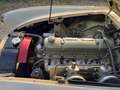 Austin-Healey 3000 3000 MKI BT7 - thumbnail 15