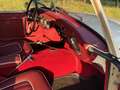 Austin-Healey 3000 3000 MKI BT7 - thumbnail 8