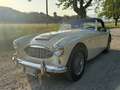 Austin-Healey 3000 3000 MKI BT7 - thumbnail 3