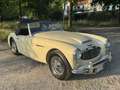 Austin-Healey 3000 3000 MKI BT7 - thumbnail 1
