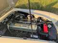 Austin-Healey 3000 3000 MKI BT7 - thumbnail 13
