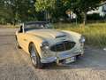Austin-Healey 3000 3000 MKI BT7 - thumbnail 2