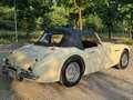 Austin-Healey 3000 3000 MKI BT7 - thumbnail 5
