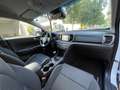 Kia Sportage 1.6 GDi Drive 4x2 Weiß - thumbnail 6