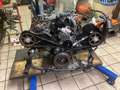 Audi A6 allroad A6 Allroad quattro tiptronic 2,7 T Schwarz - thumbnail 21