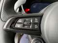 Alfa Romeo Stelvio 2.2 Td 210CV AT8 Q4 Veloce /TETTO APRIBIL/Nav/ADAS Nero - thumbnail 11