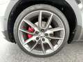 Skoda Octavia RS 4x4 2.0 TDI*NAVI*SHZ*RFK*uvm Schwarz - thumbnail 7