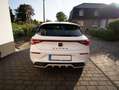 CUPRA Leon Leon 1.4 e-Hybrid (180 kW System) Weiß - thumbnail 6