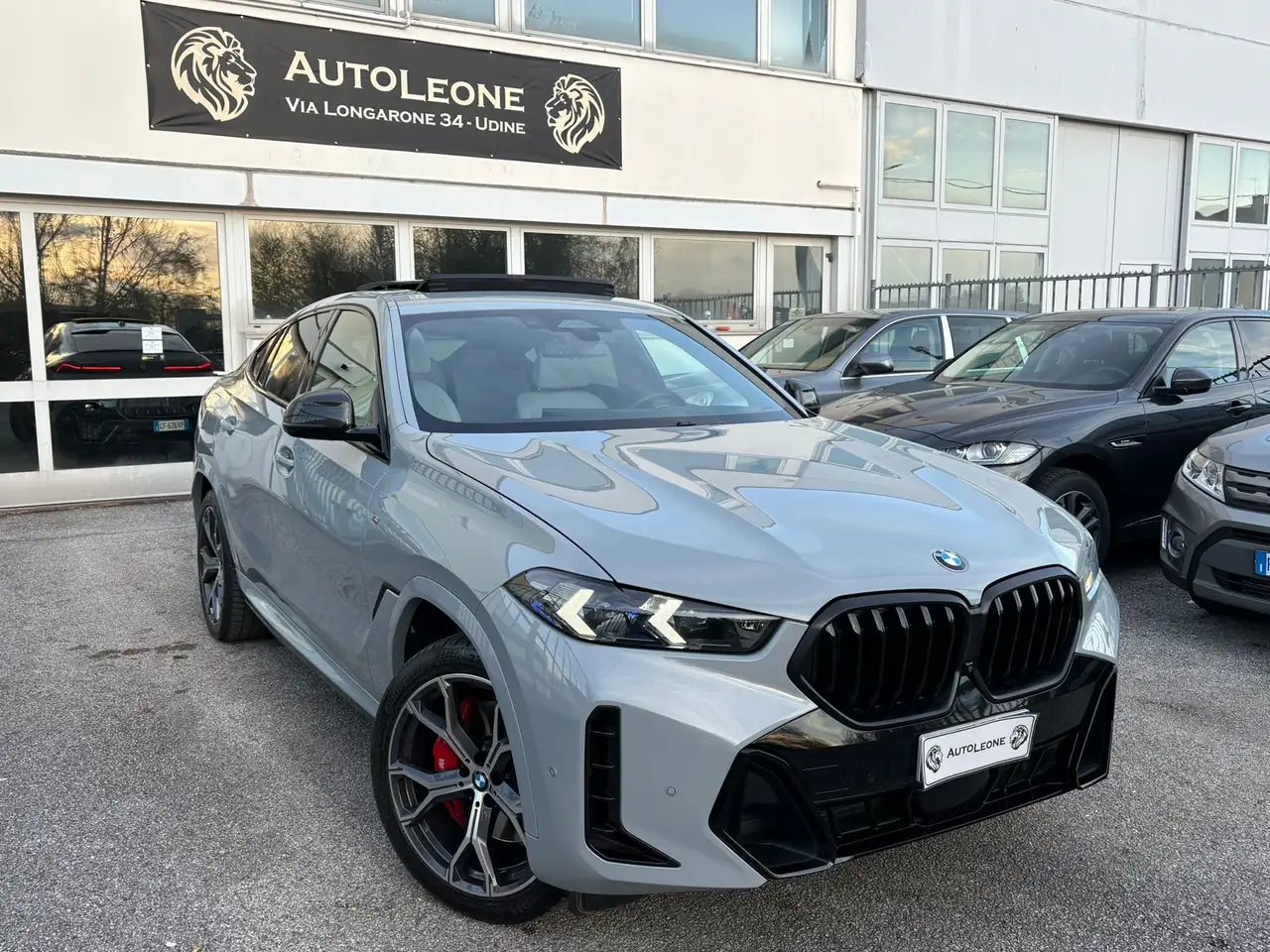 BMW X6