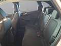 Ford Kuga 2,5 Duratec FHEV Active X Aut. Weiß - thumbnail 17