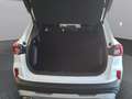 Ford Kuga 2,5 Duratec FHEV Active X Aut. Weiß - thumbnail 12