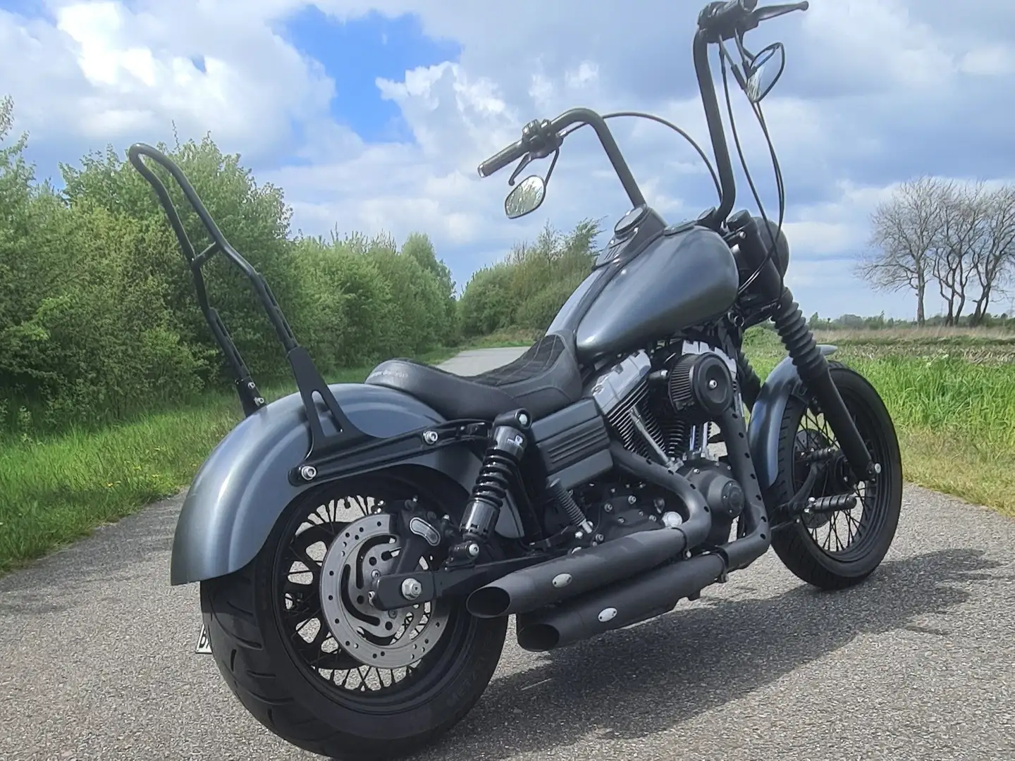 Harley-Davidson Dyna Street Bob Сірий - 1