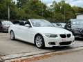 BMW 318 3 Cabrio 318i///M - Paket/Leder/Xenon Weiß - thumbnail 23
