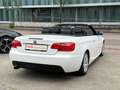 BMW 318 3 Cabrio 318i///M - Paket/Leder/Xenon Weiß - thumbnail 29