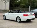 BMW 318 3 Cabrio 318i///M - Paket/Leder/Xenon Weiß - thumbnail 33