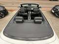 BMW 318 3 Cabrio 318i///M - Paket/Leder/Xenon Weiß - thumbnail 37