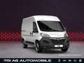 Opel Movano Cargo 3,5t L2H2 Techno-Plus-Paket Cargo-P Weiß - thumbnail 15