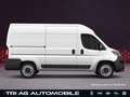 Opel Movano Cargo 3,5t L2H2 Techno-Plus-Paket Cargo-P Weiß - thumbnail 3