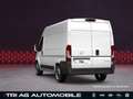 Opel Movano Cargo 3,5t L2H2 Techno-Plus-Paket Cargo-P Wit - thumbnail 8
