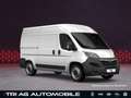 Opel Movano Cargo 3,5t L2H2 Techno-Plus-Paket Cargo-P Weiß - thumbnail 1