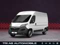 Opel Movano Cargo 3,5t L2H2 Techno-Plus-Paket Cargo-P Wit - thumbnail 13