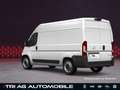 Opel Movano Cargo 3,5t L2H2 Techno-Plus-Paket Cargo-P Weiß - thumbnail 9
