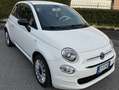 Fiat 500 500 III 2015 1.0 hybrid 70cv Bianco - thumbnail 1