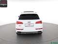 Audi SQ5 SQ5 3.0 TFSI qu LUFTFEDER,S-SITZE,B+O,MATRIX,HUD Weiß - thumbnail 4