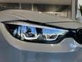 BMW M4 M4 Coupe 3.0 CS -NAZIONALE -UFFICIALE -PRONTA! Grigio - thumbnail 14