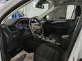 Ford Kuga 2.5 PHEV Titanium X 2wd 225cv E-Shifter Bianco - thumbnail 2