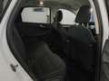 Ford Kuga 2.5 PHEV Titanium X 2wd 225cv E-Shifter Bianco - thumbnail 12