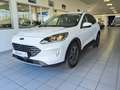 Ford Kuga 2.5 PHEV Titanium X 2wd 225cv E-Shifter Bianco - thumbnail 1